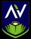 Avviare Business School